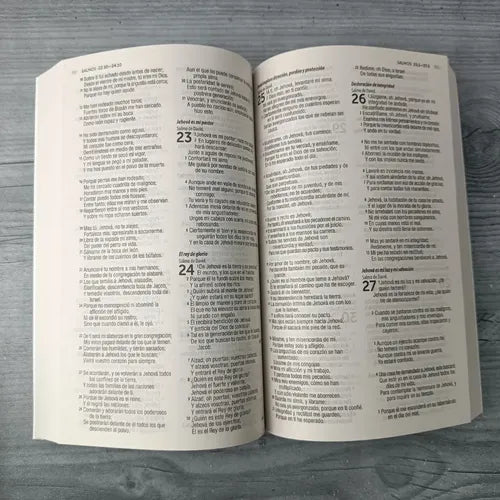 Santa Biblia Reina Valera 1960 Económica