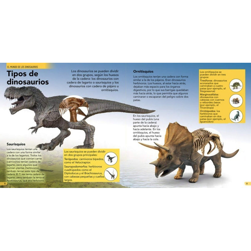 Enciclopedia Infantil De Los Dinosaurios (tapa Dura)