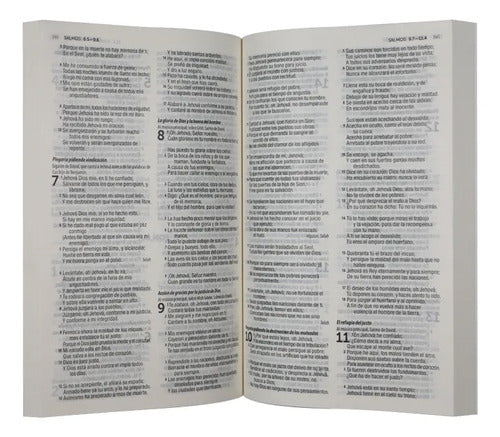 Santa Biblia Reina Valera Contemporanea Misionera Economica