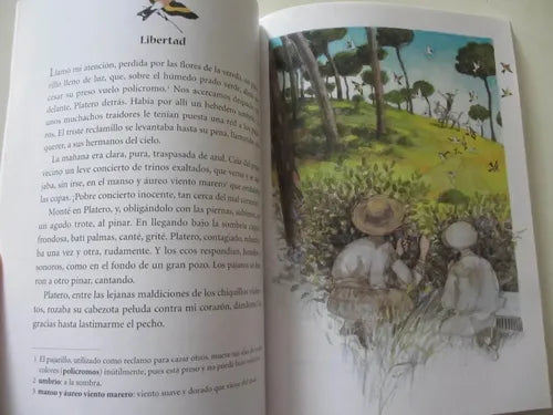 Estampas De Platero Y Yo / Juan Ramon Jimenez