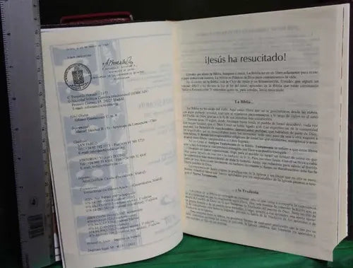 Biblia Latinoamericana Letra Grande C/indices / Verbo Divino