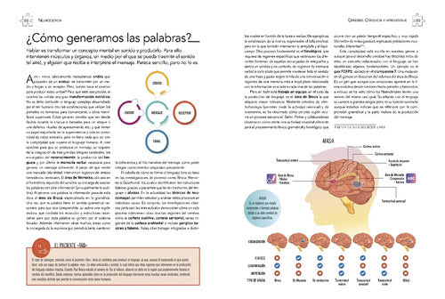 Cerebro Conducta Y Aprendizaje Neurociencia (t.dura) / Lexus