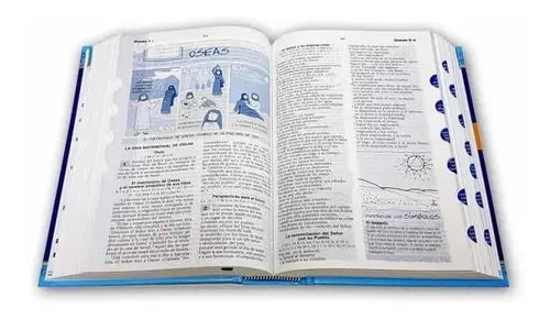 La Biblia Católica Para Jóvenes (tapa Dura) / Verbo Divino