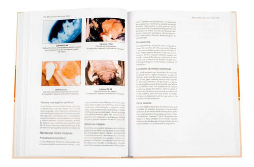Manual De Odontología En Pequeños Animales (t.dura) / Lexus