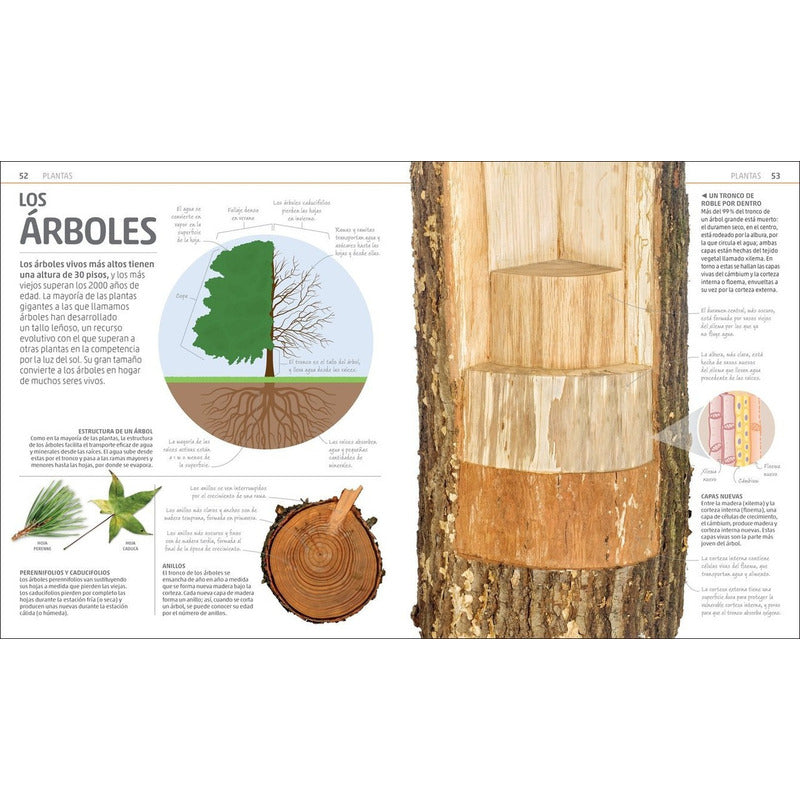 Dk Enciclopedia Secretos De La Naturaleza (tapa Dura)