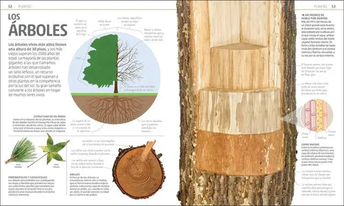 Dk Enciclopedia Secretos De La Naturaleza (tapa Dura)