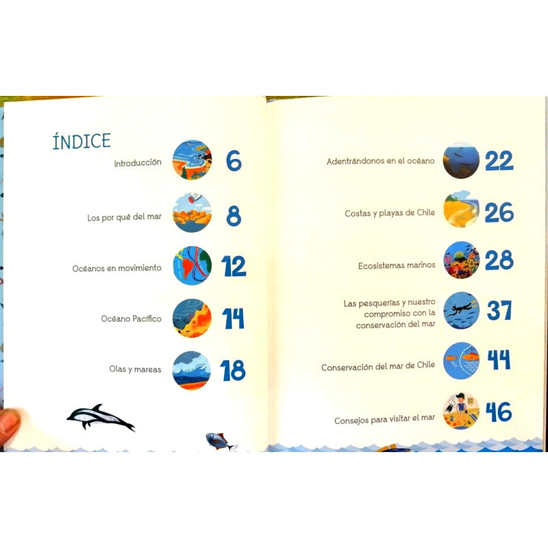 Chile Es Mar (tapa Dura) / Pehuen