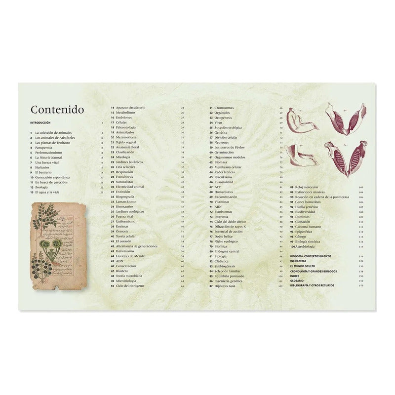Biología Una Historia Ilustrada De La Vida Natural / Jackson