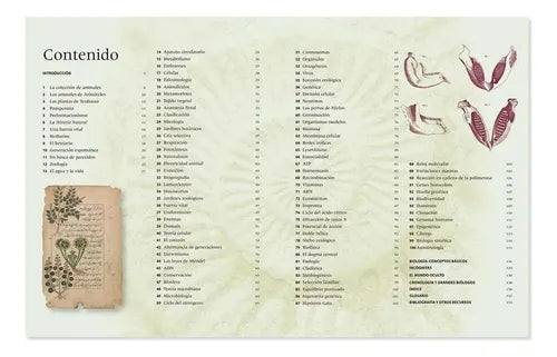 Biología Una Historia Ilustrada De La Vida Natural / Jackson