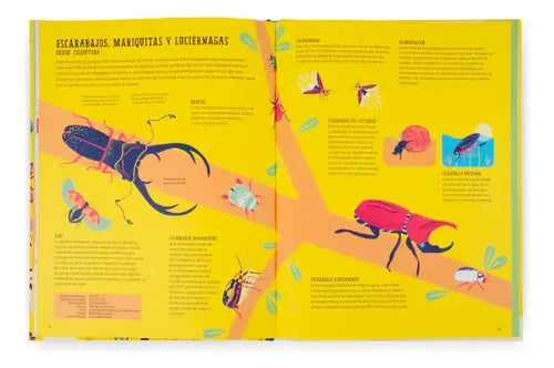 Insectopedia (tapa Dura) / Aguilera-olivares Y Maturana