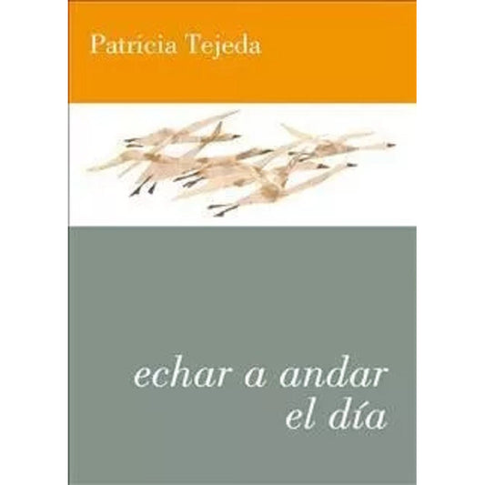 Echar A Andar El Dia / Patricia Tejeda
