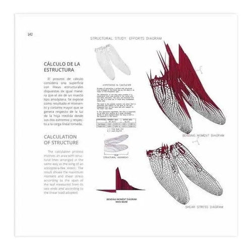 Biónica Biomimética Y Arquitectura (tapa Dura) / Lexus