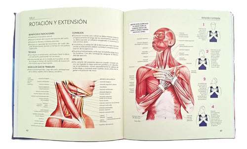 Atlas Ilustrado Estiramientos Y Flexiones (t.dura) / Susaeta