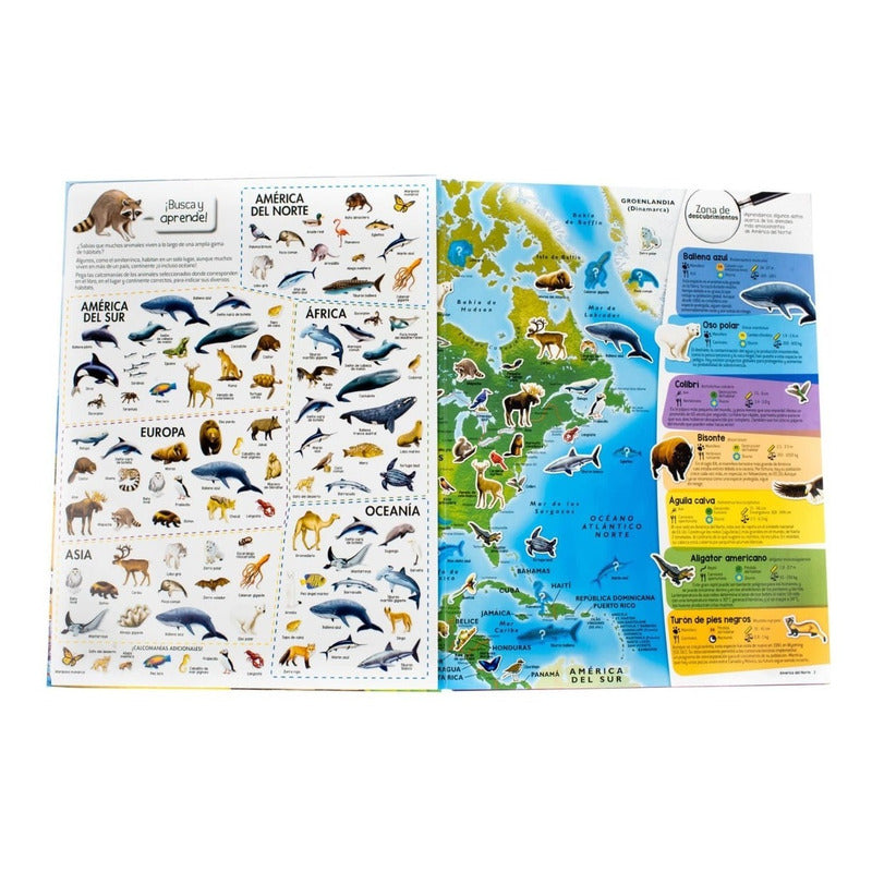 Atlas De Los Animales Del Mundo / Lexus