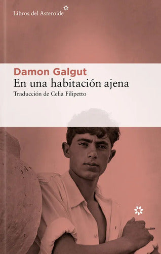 En Una Habitación Ajena / Damon Galgut