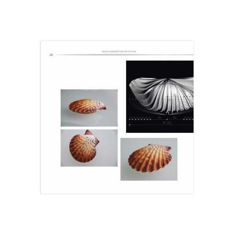 Biónica Biomimética Y Arquitectura / Lexus